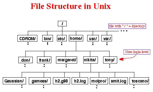 Directory Structure In Unix