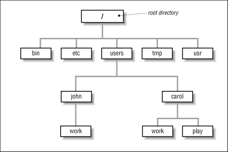 Directory Structure In Unix