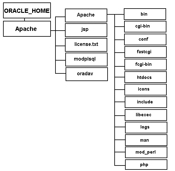 Directory Structure In Unix