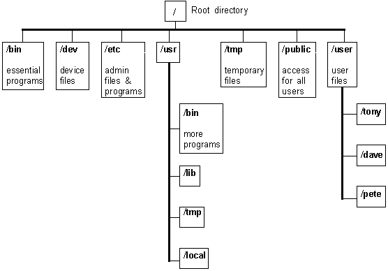 Directory Structure In Unix