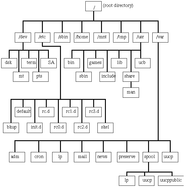 Directory Structure In Unix