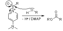 Dmap Esterification Mechanism