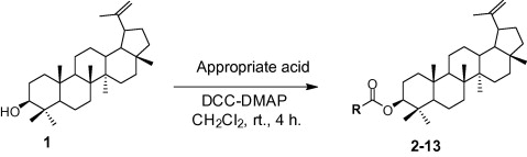 Dmap Esterification Mechanism