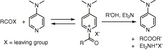 Dmap Esterification Mechanism