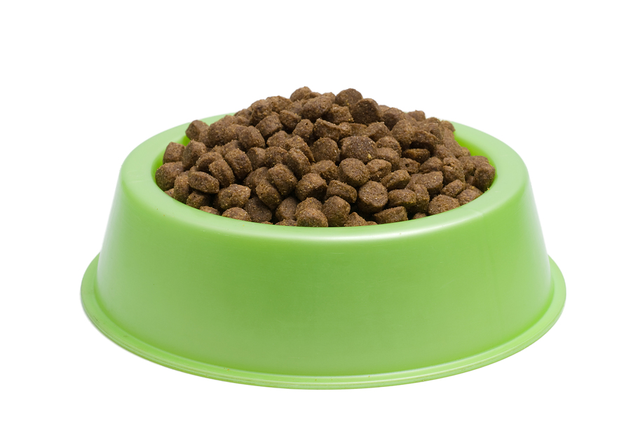 Dog Food Bowl