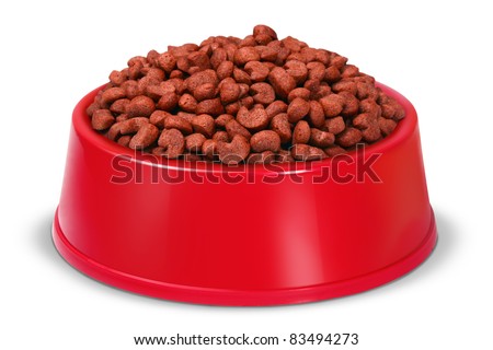 Dog Food Bowl