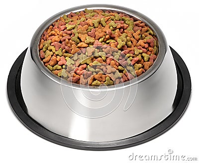 Dog Food Bowl