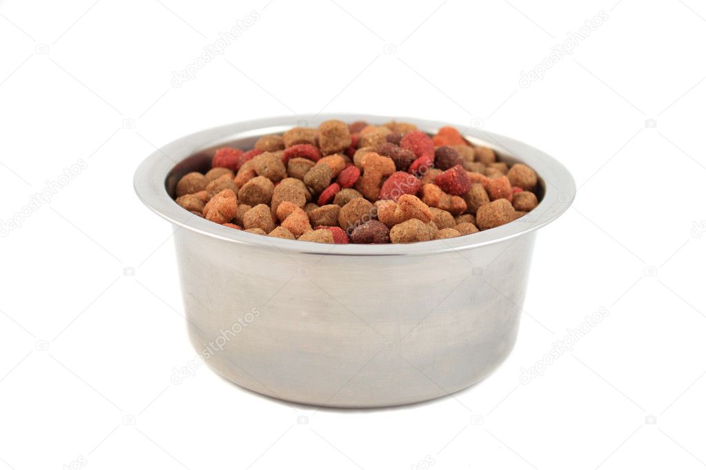 Dog Food Bowl