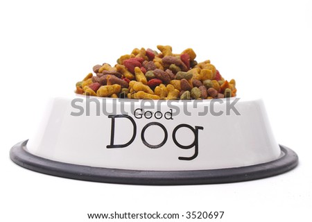 Dog Food Bowl