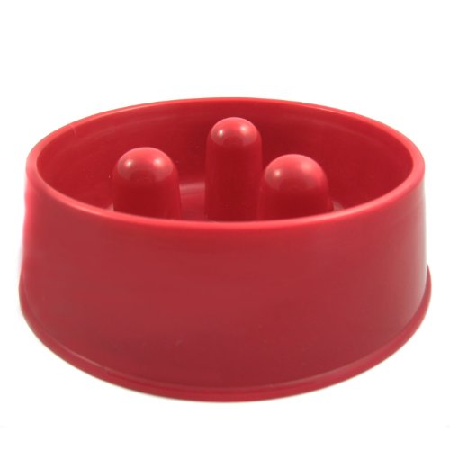 Dog Food Bowl To Slow Eating