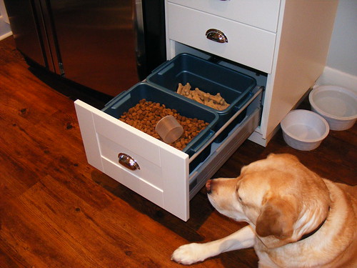 Dog Food Storage