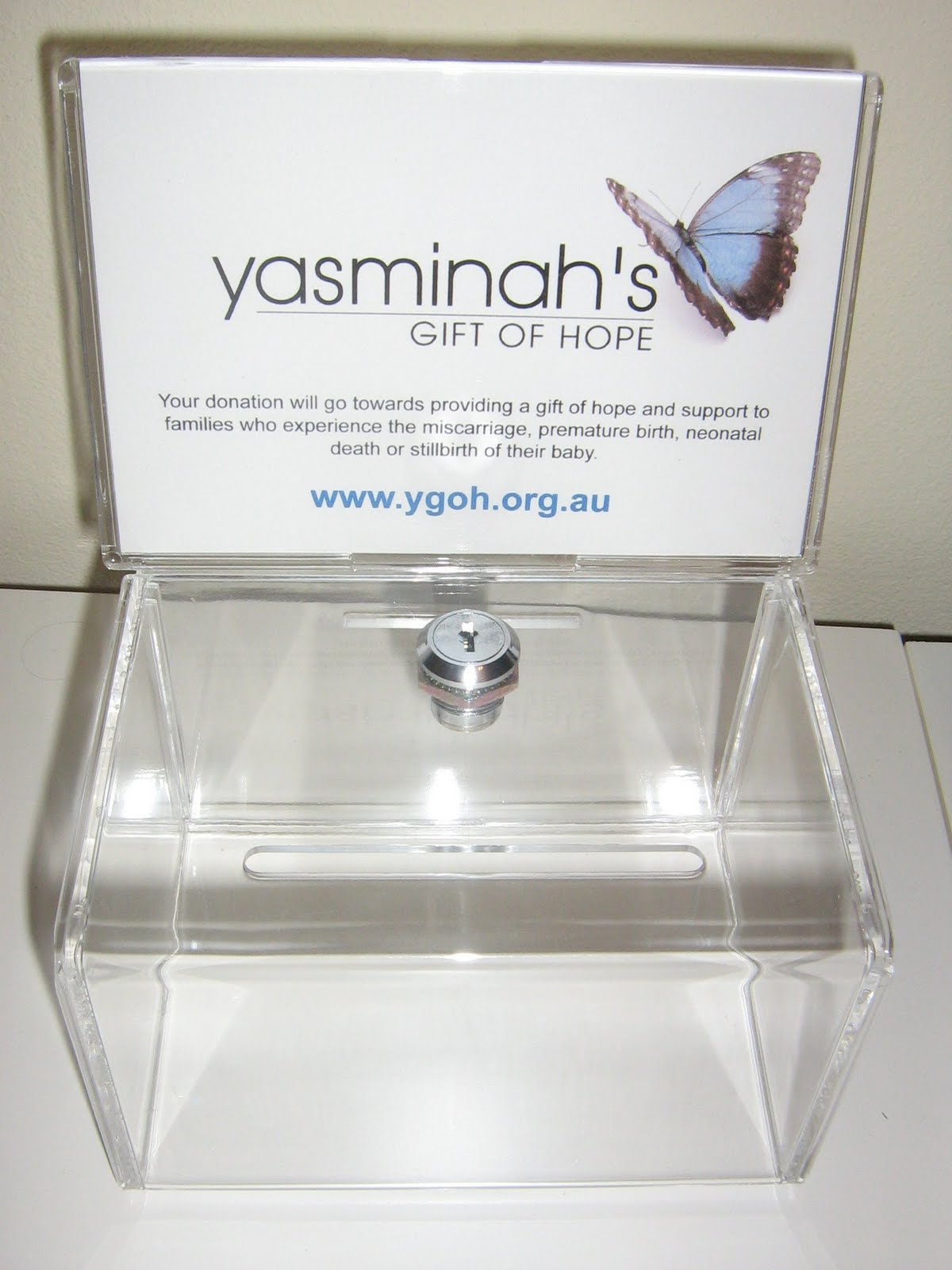 Donation Box