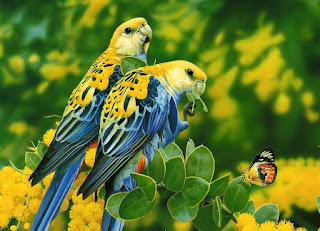 Download Wallpapers Of Love Birds