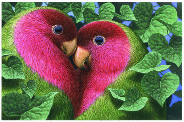 Download Wallpapers Of Love Birds