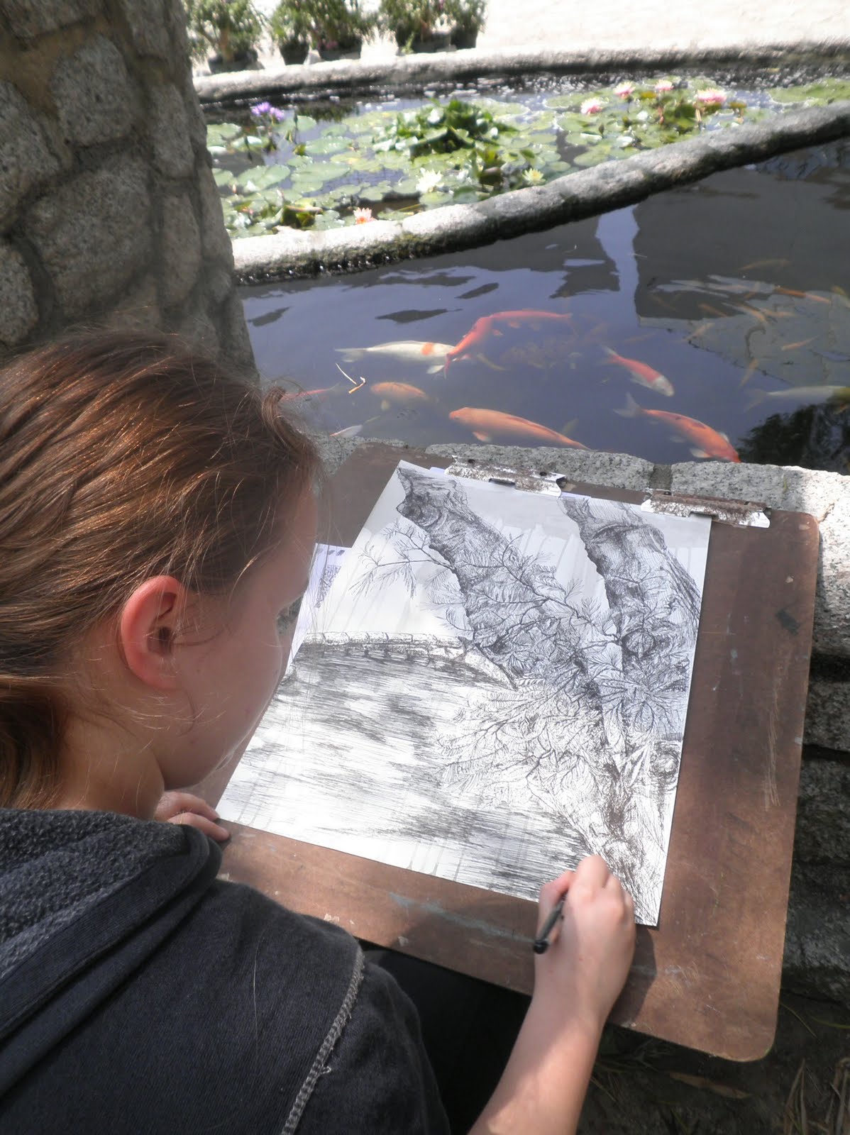 Drawings Of Schools Of Fish