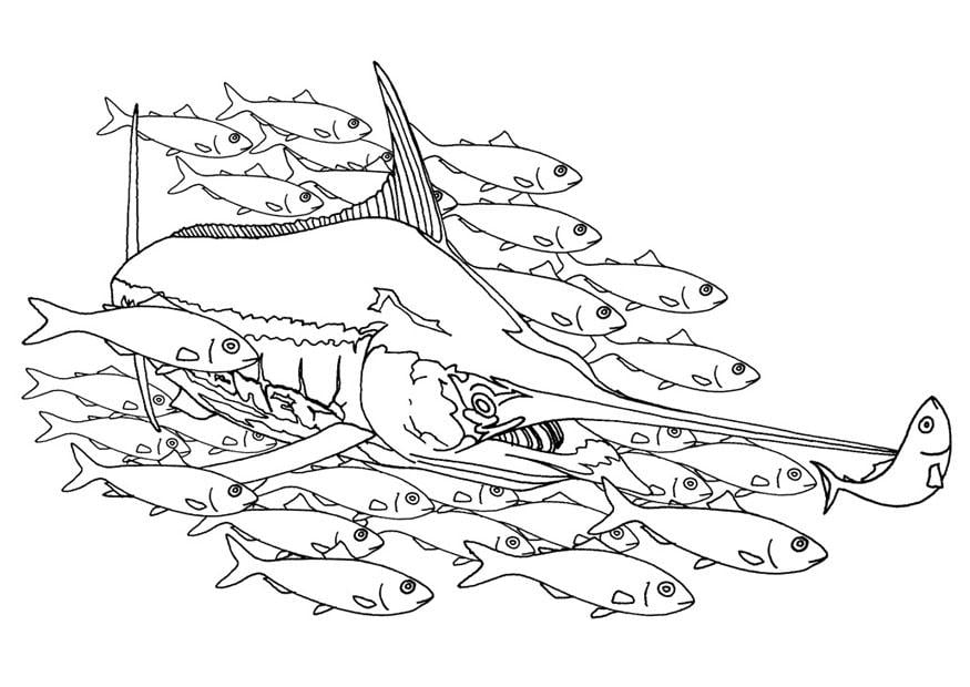 Drawings Of Schools Of Fish