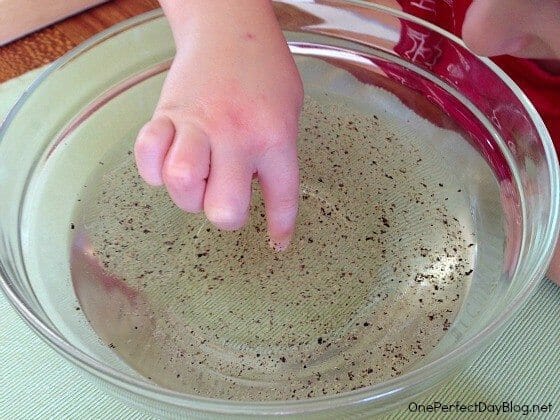 Easy Science Experiments For Kids With Water