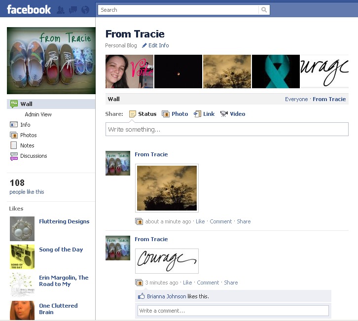 Empty Facebook Profile Layout