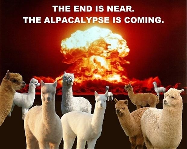 End Of The World 2012 Funny