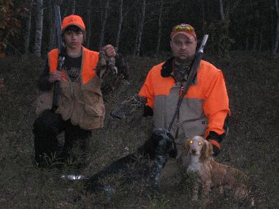 English Cocker Spaniel Hunting Dogs