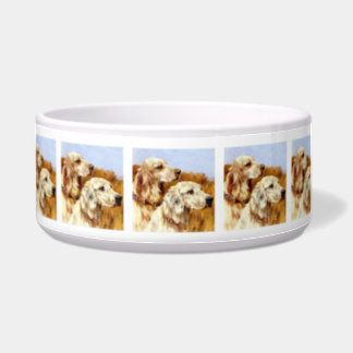 English Setter Dog Food