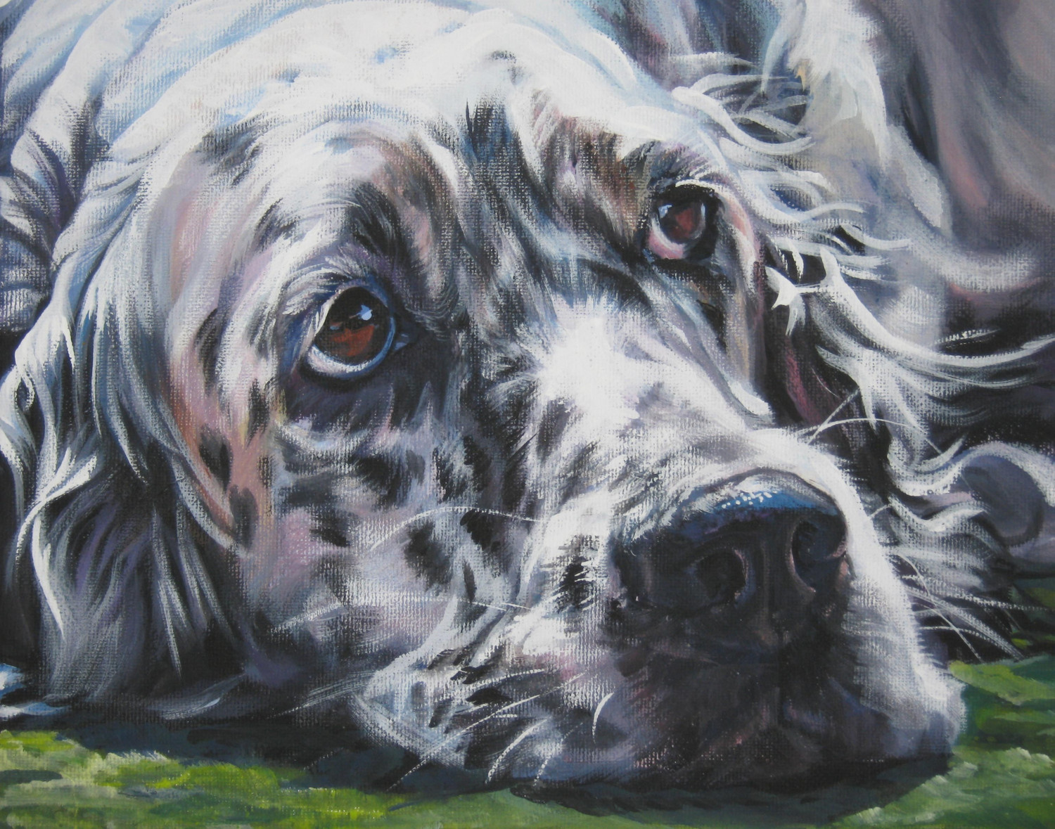 English Setter Pictures