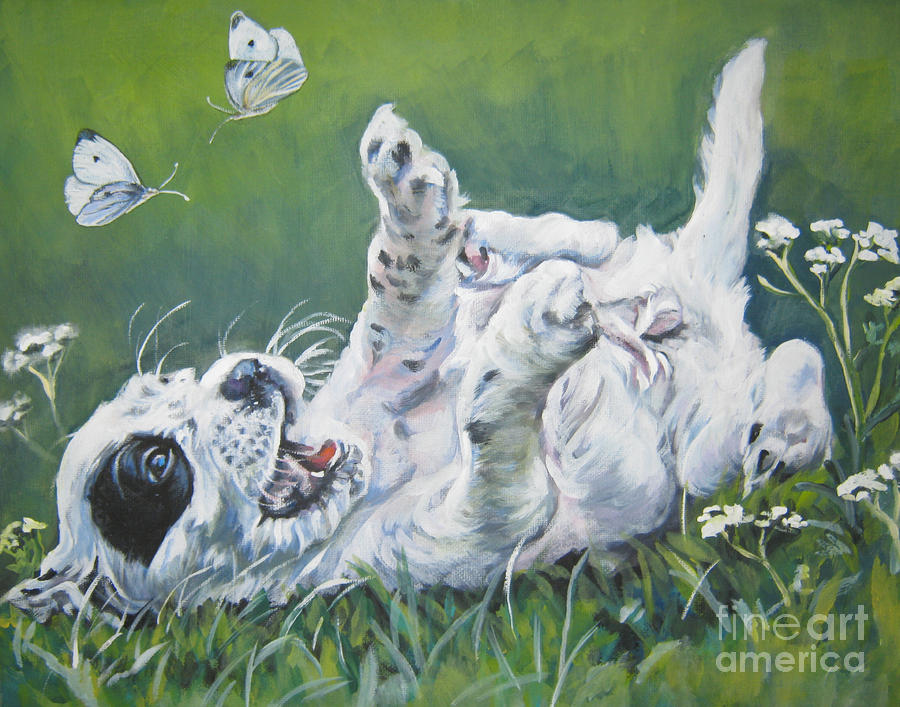 English Setter Puppies Pictures