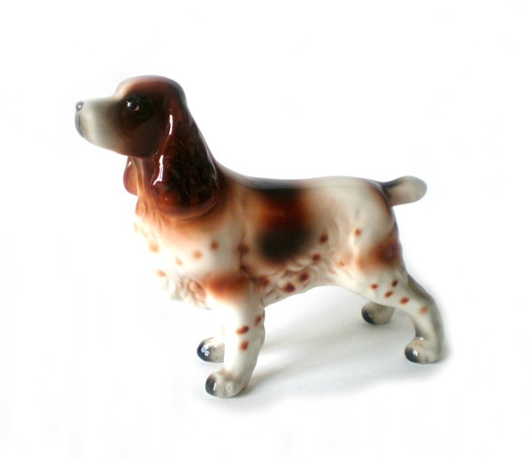 English Setter Spaniel