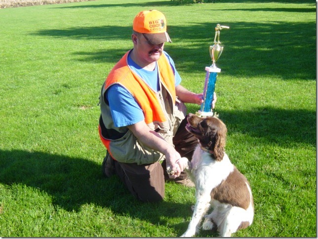 English Springer Spaniel Puppies For Sale In Ohio