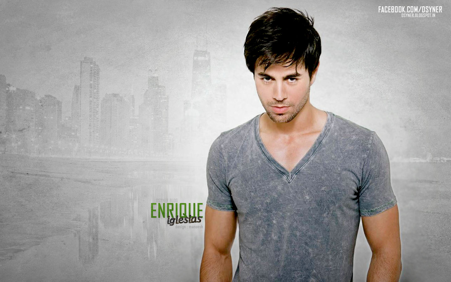 Enrique Iglesias 2013 Wallpaper