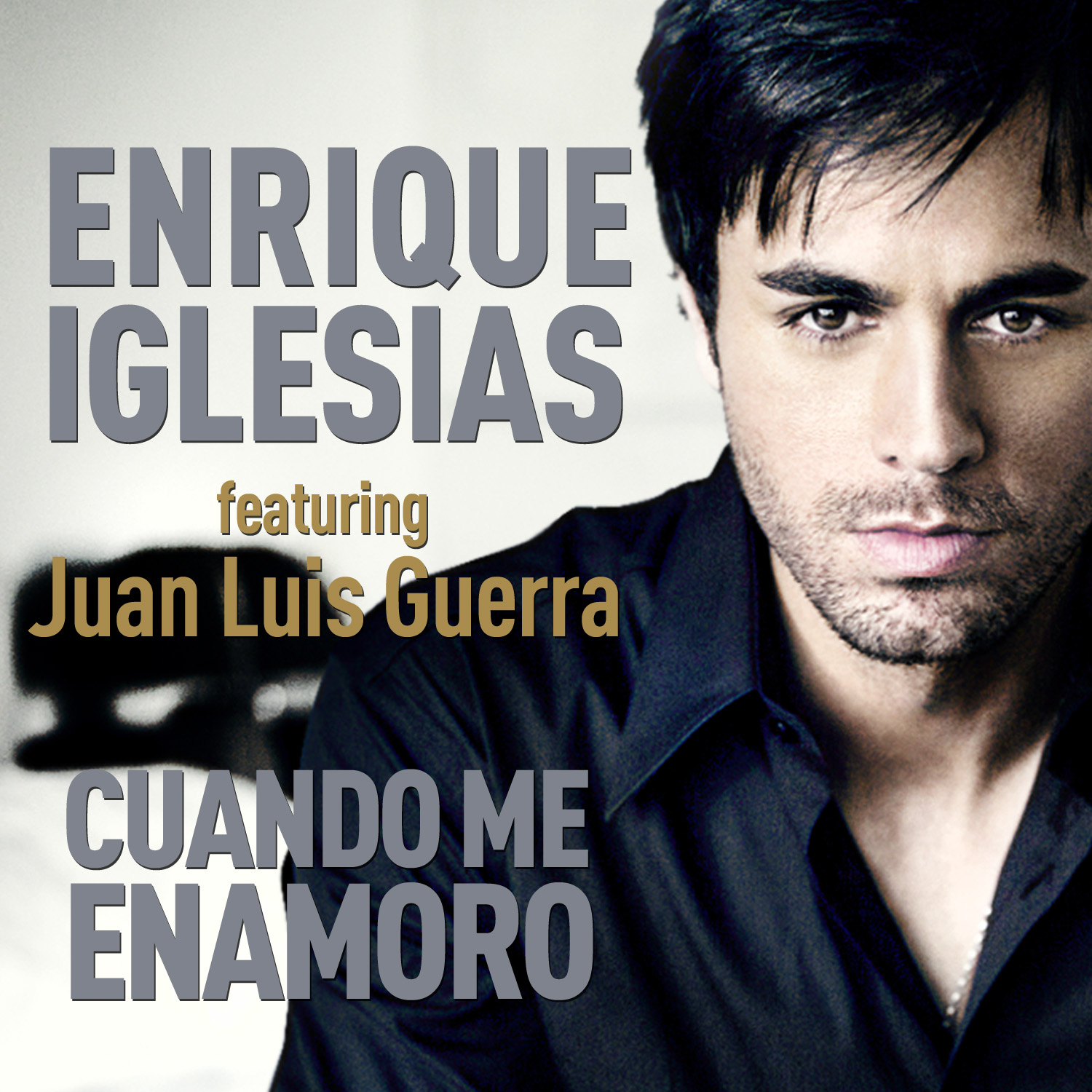 Enrique Iglesias Album Cover