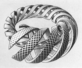 Escher Drawings