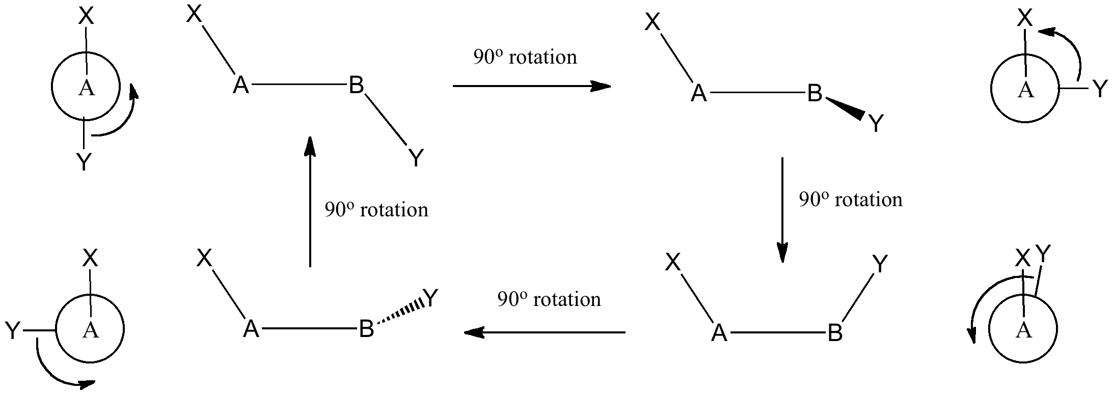 Ester Bond Definition