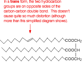 Ester Bond Formation