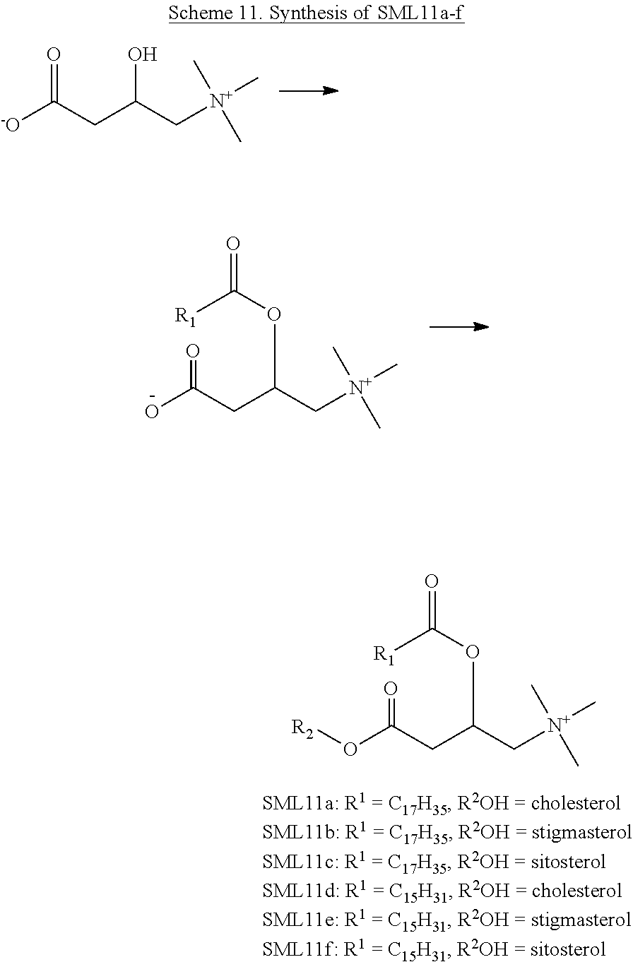 Ester Bond In Lipids