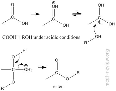 Esterification