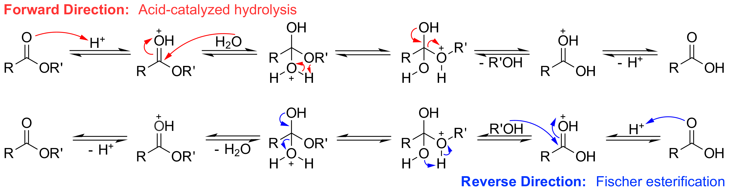 Esterification