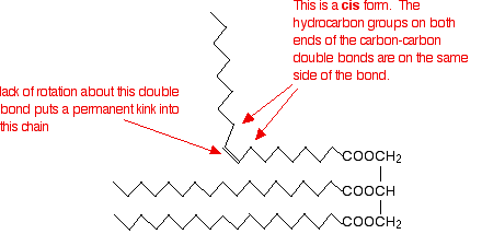 Esterification Diagram