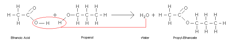 Esterification Diagram