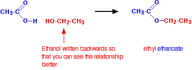 Esterification Diagram