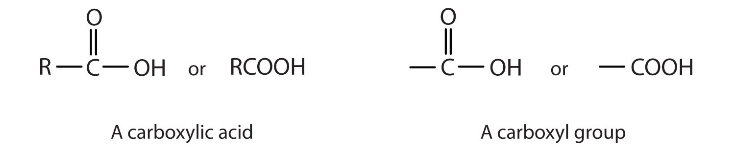 Esterification Equation