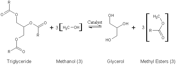 Esterification Equation