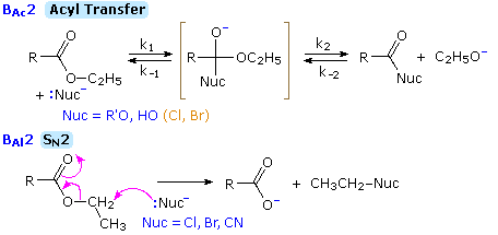 Esterification Equation