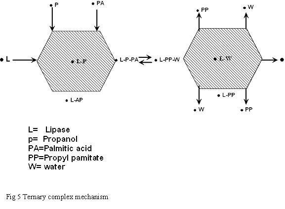 Esterification Equation