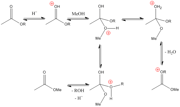 Esterification Mechanism Carboxylic Acid Alcohol