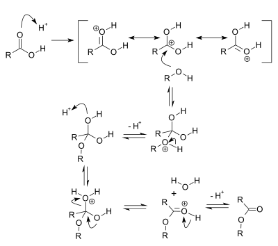 Esterification Mechanism Carboxylic Acid Alcohol