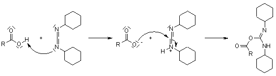 Esterification Of Salicylic Acid Mechanism