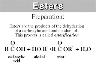 Esterification Of Salicylic Acid With Ethanol