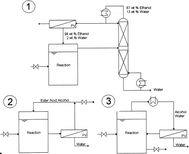 Esterification Process