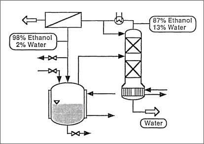 Esterification Process